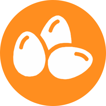 huevos